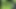 Güzel bir ork kızına oral seks yapıyor