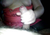Pregled videozapisa
