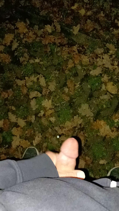 Slina tijekom krstarenja