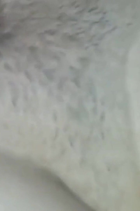 Seks met een lokaal tienermeisje en een dikke pik