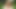 かわいいふしだらな女は良いディックを吸うのが大好き