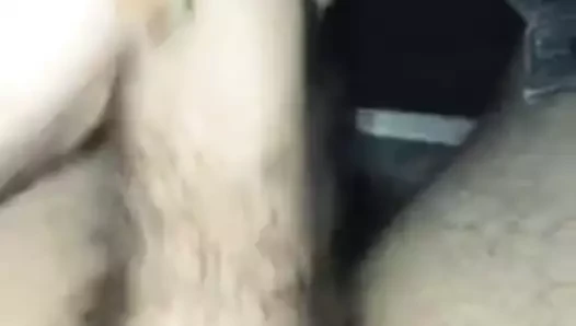 Penis