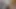 The soft cock gets hard and long and floods your face with hot cum