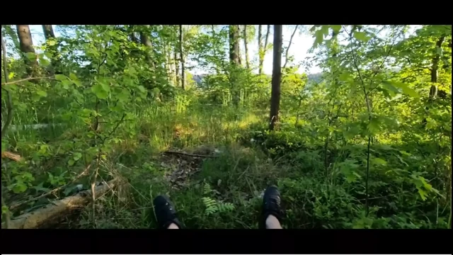 Out in the woods jerked off my cock