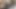 Kissing on Bed, 24cm Throbbing Cock, Ass Destroyed & Huge Cum in Mouth with TS Tayla Daher