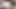 Naylon çoraplı seksi ofis risa, büyük memeler oynuyor, sıkı anüsünde vibratör ve animasyonlu pornoda amcık yalama fışkırtıyor