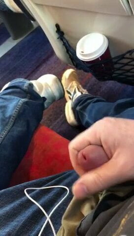 Public Wank On A Cross Country Train (Part 2)