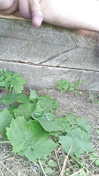 Jerk off in Garden