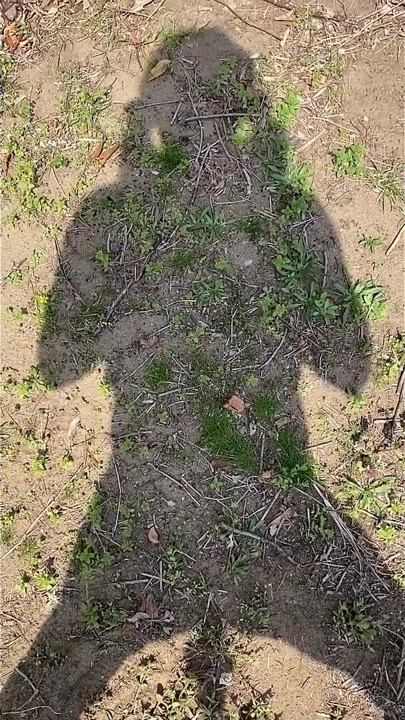 순결 벨트 착용 번호 161