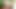 Four trannies lick whipped cream off big boobs while jerking