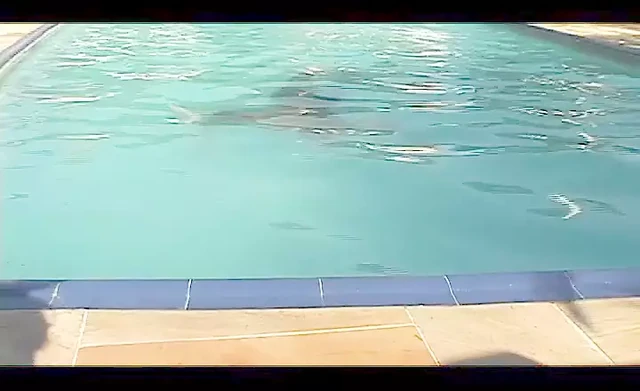 Granny fuck the pool boy like two starving sluts
