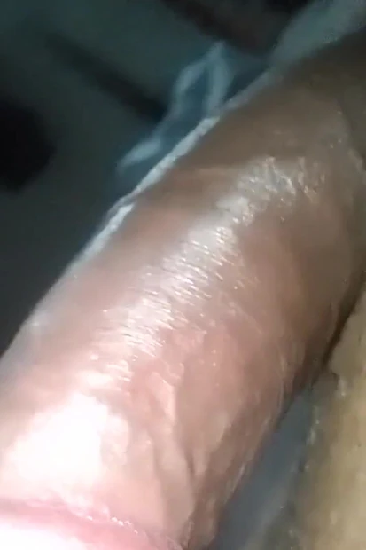 Vid 2025