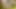 Zara Du Rose POV Masturbation in Front of JimSlip