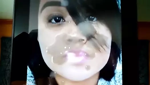 Prettybr için haraç