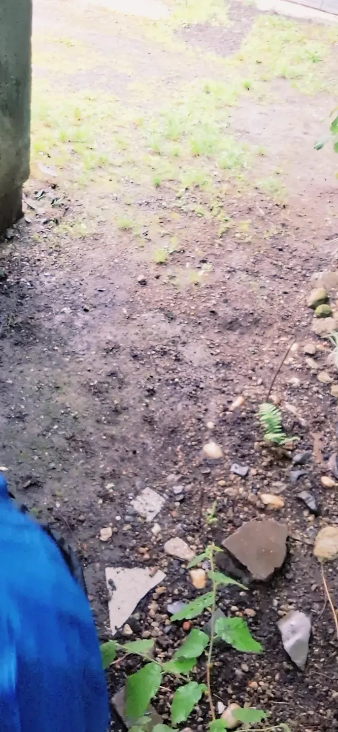 Jag leker med min Cocck offentligt xHamster