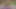 Istri hot rambut pirang kepergok lagi asik ngentot kontol sybian di halaman belakang rumahnya