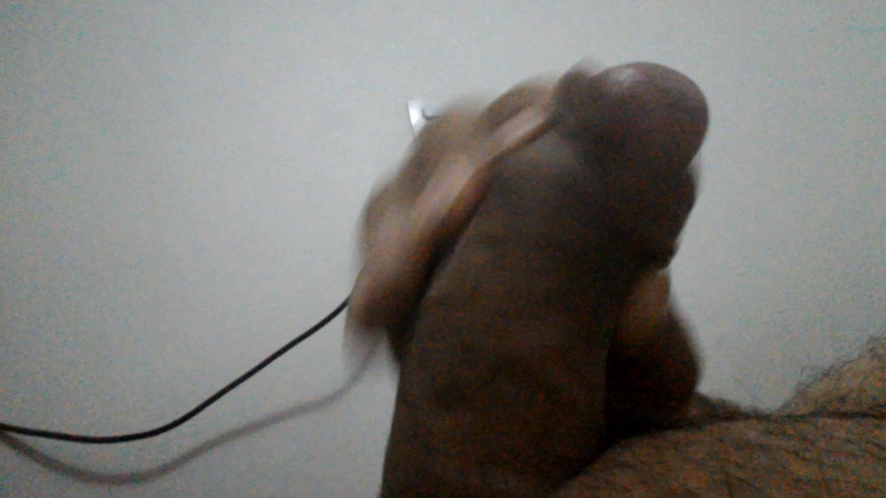 tribute 2
