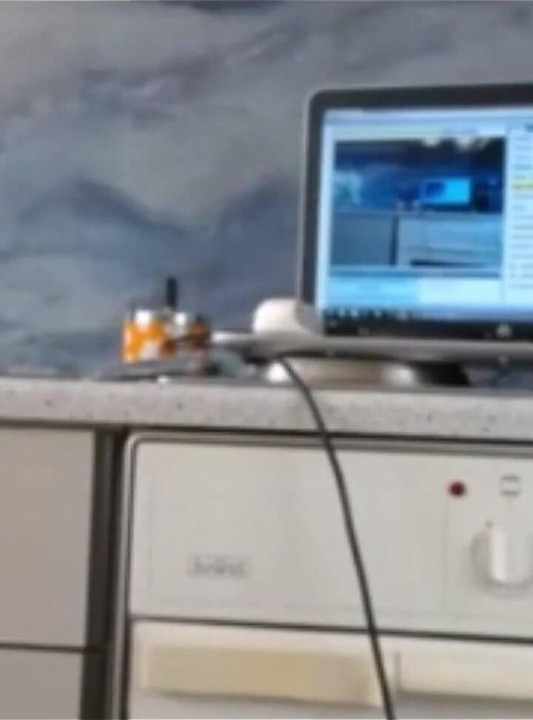 라이브 스트리밍에서 섹시한 Dea Twerking