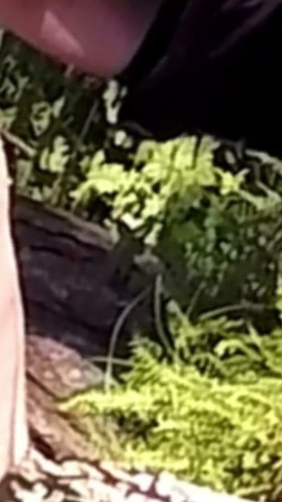 Uda - dona de casa milf gostosa é fodida com força fora da floresta | Clipe 2