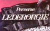 Pregled videozapisa