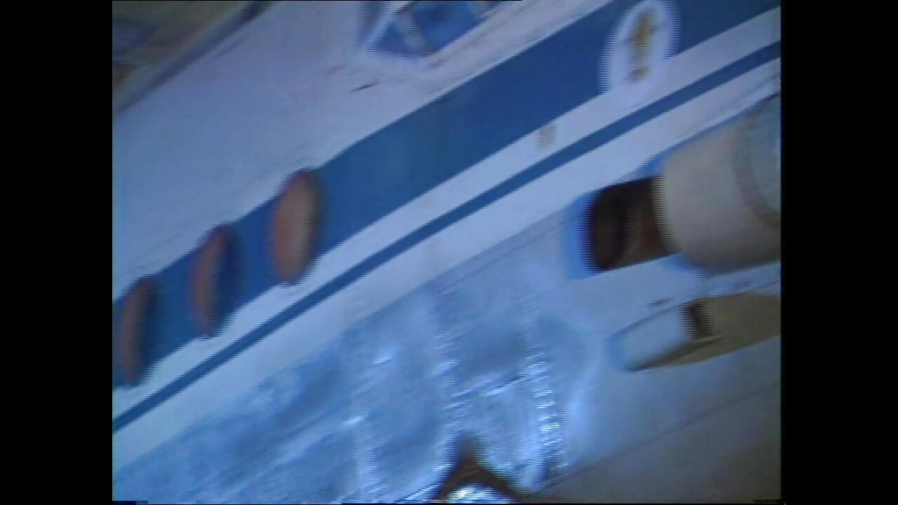 The Pig Eats My Vagina Film