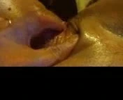 wet kitty 7