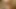 Seksi striptiz ve duşta vahşi bir orgazm ile mastürbasyon. Close