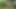 Horny Latina Deepthroats in Park Grass and Gets Her Pussy Hardcore Hammered!