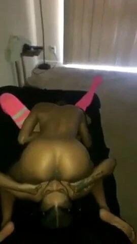 PYT 313