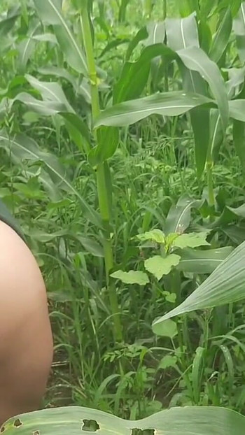 Unforgettable moment from "Daughter-in-law is shaking her fat ass in the field and putting fingers in the pussy, I"
