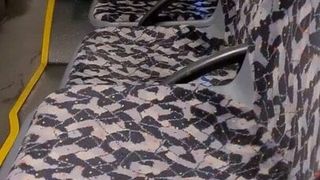 Showing dick in bus