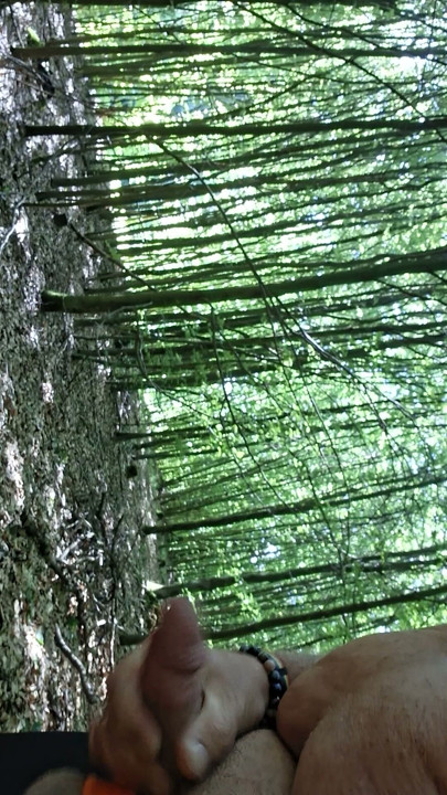 Ngintip di hutan
