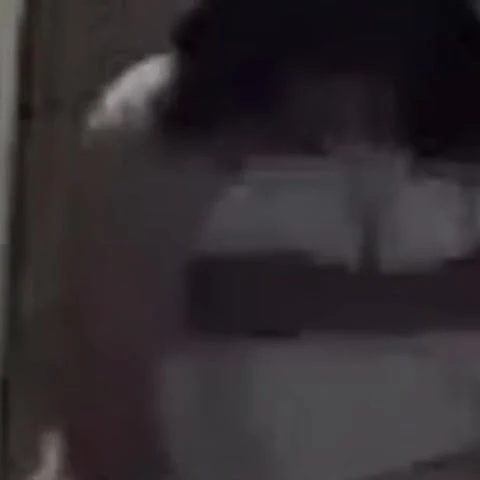 漂亮的大屁股性爱