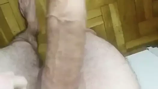 benim Alman büyük horoz