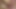 アナルはただムラムラしているだけだ