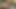 Erwischt und hart gefickt für einen riesigen BBC forest creampie