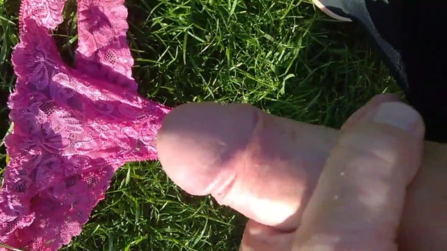 WP 20170805 19 16 08 Pro.mp4