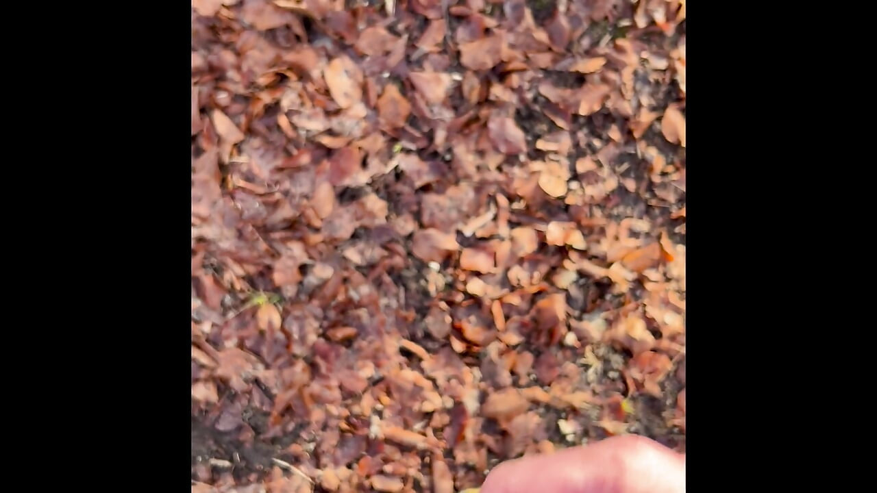 In the morning before work