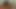 Hot view from above at four shemale girlfriends wild fucking