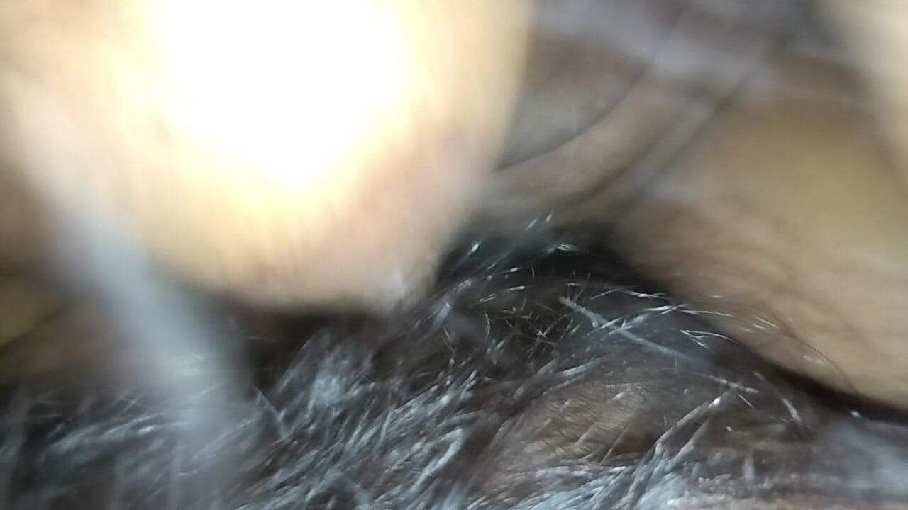 Dasi bhabhi ka nanga video