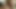 Big Tit Nudist Has Her Stepson Nut in Her Mouth