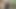 Big Black cock Masturbation Video Cumshot Masturbation Video