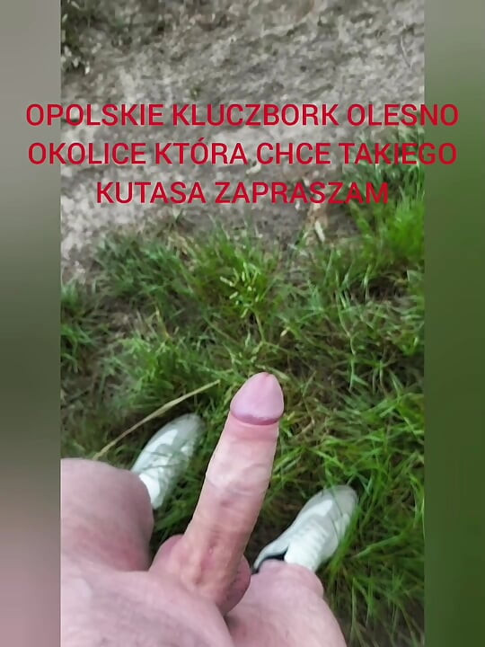Zadbany kutas