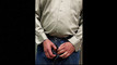 Pregled videozapisa