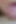 Rec Pvrt: Close up BJ and Cum