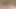 Recording of my live show ORGASM. Vibrating my big clit and dripping wet juicy pussy to make u cum!