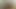 Tıbbi kaltak hastasını kullandı