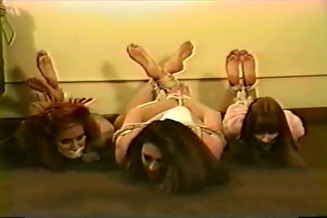Three secretaries hogtied