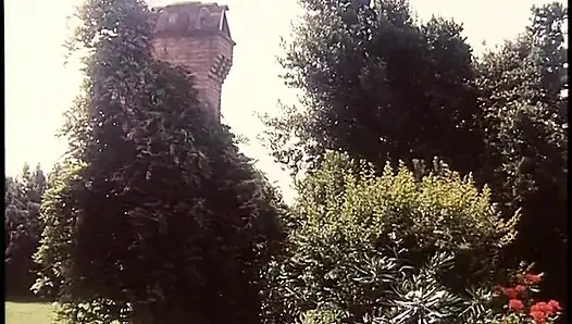 Pesta seks luar ruangan yang panas