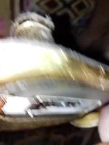 Gold sandal